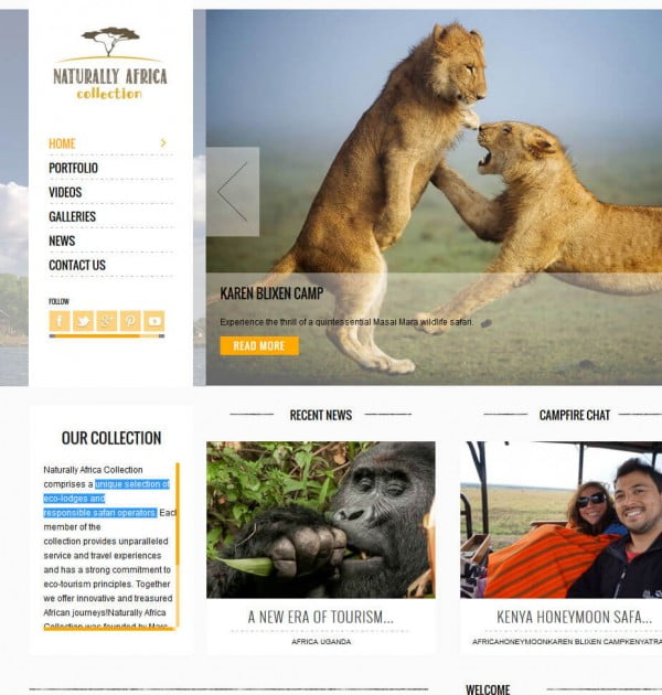 aturally africa website design by valen digital
