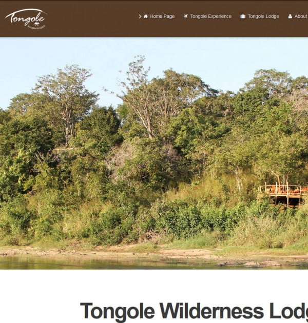 tongole website developed by valen digital