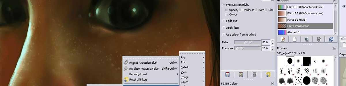 The Gimp - open source programme