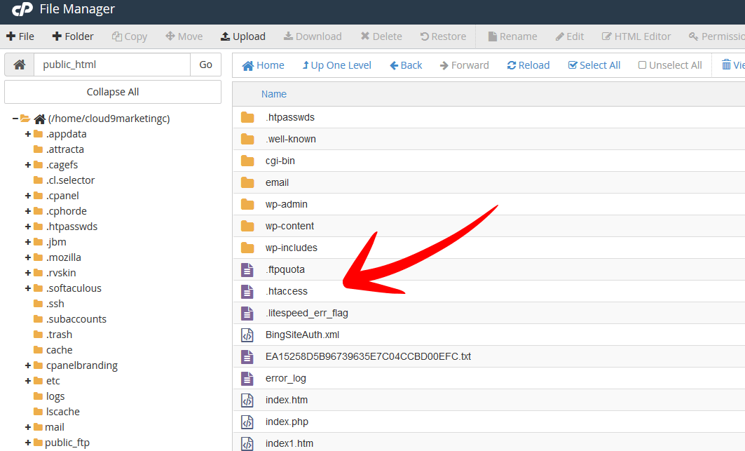 cPanel File Manager htaccess File