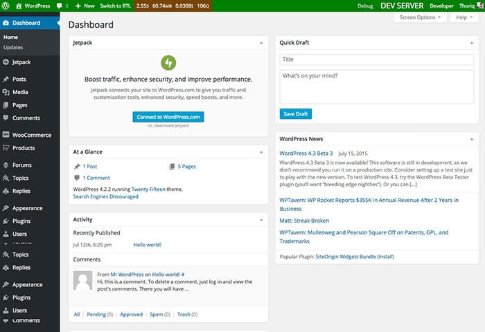 WordPress Development