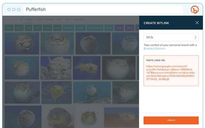 bitly browser extension