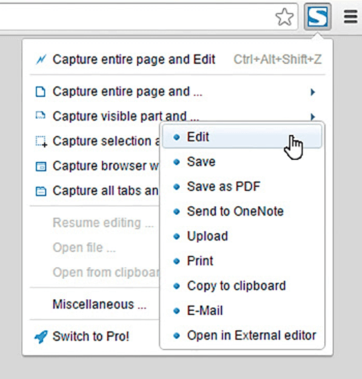 fireshot capture browser screenshots