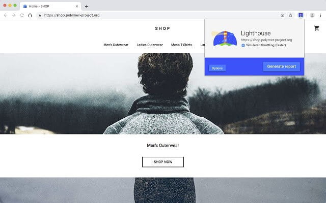 lighthouse browser extension