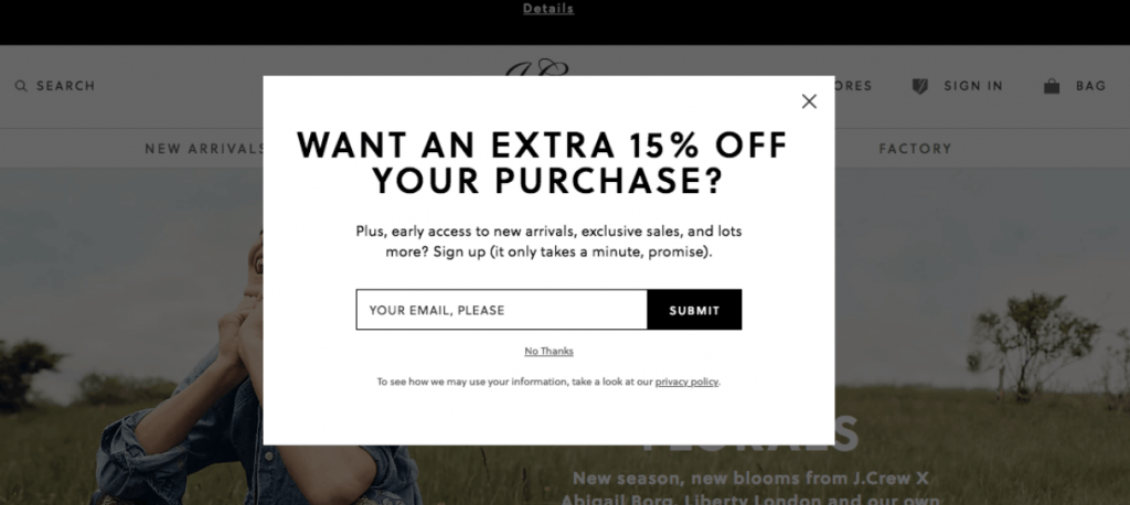 exit intent pop up email strategy