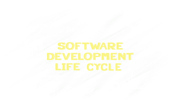 Ecommerce Development Functional Shop Bespoke Software development