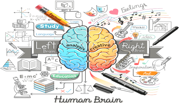 Plan an effective Infographic Content Campaign Infographics Content Marketing